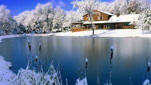 Preview wallpaper house, lake, winter, canes, ice, snow, day