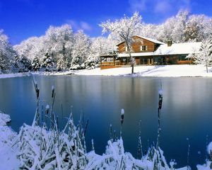 Preview wallpaper house, lake, winter, canes, ice, snow, day