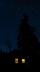 Preview wallpaper house, light, forest, trees, silhouettes, night, dark
