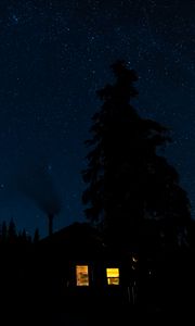 Preview wallpaper house, light, forest, trees, silhouettes, night, dark