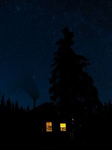 Preview wallpaper house, light, forest, trees, silhouettes, night, dark