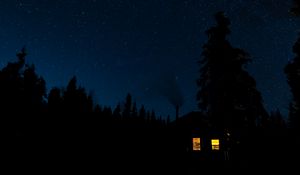 Preview wallpaper house, light, forest, trees, silhouettes, night, dark