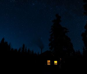 Preview wallpaper house, light, forest, trees, silhouettes, night, dark