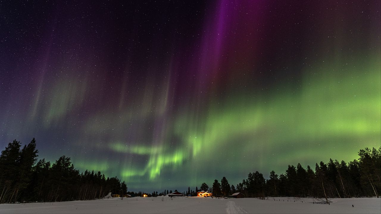 Wallpaper house, lights, trees, northern lights, night