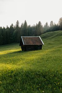 Preview wallpaper house, meadow, field, flowers, trees, nature