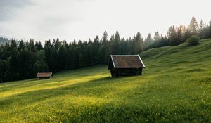 Preview wallpaper house, meadow, field, flowers, trees, nature