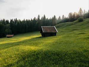 Preview wallpaper house, meadow, field, flowers, trees, nature