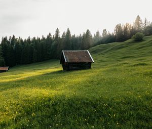 Preview wallpaper house, meadow, field, flowers, trees, nature