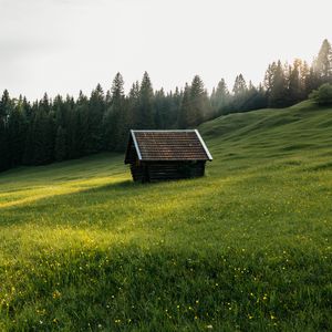 Preview wallpaper house, meadow, field, flowers, trees, nature