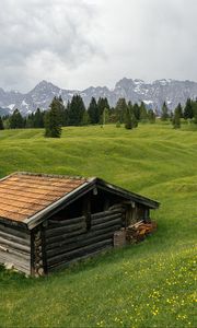 Preview wallpaper house, meadow, trees, mountains, nature