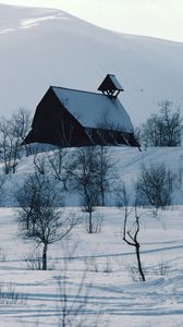 Preview wallpaper house, mountains, snow, log hut, mail box