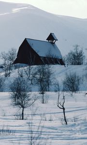 Preview wallpaper house, mountains, snow, log hut, mail box