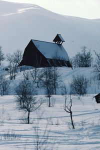 Preview wallpaper house, mountains, snow, log hut, mail box