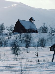 Preview wallpaper house, mountains, snow, log hut, mail box