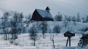 Preview wallpaper house, mountains, snow, log hut, mail box