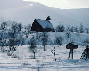 Preview wallpaper house, mountains, snow, log hut, mail box