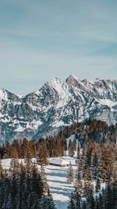 Preview wallpaper house, mountains, trees, snow, winter, nature