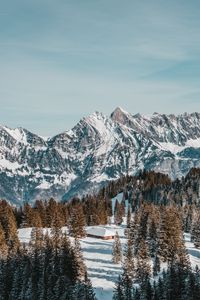 Preview wallpaper house, mountains, trees, snow, winter, nature