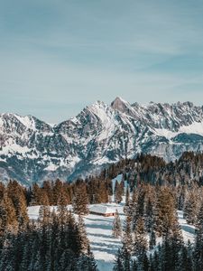 Preview wallpaper house, mountains, trees, snow, winter, nature