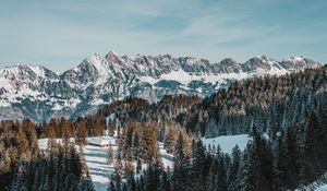Preview wallpaper house, mountains, trees, snow, winter, nature