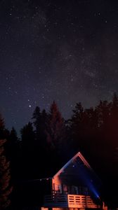 Preview wallpaper house, night, dark, trees, starry sky