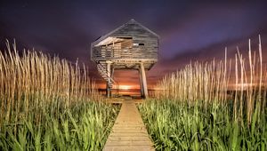 Preview wallpaper house, path, grass, sunset, stairs