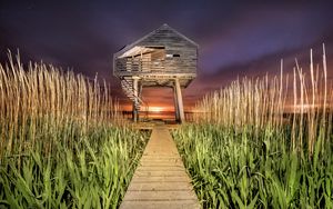 Preview wallpaper house, path, grass, sunset, stairs