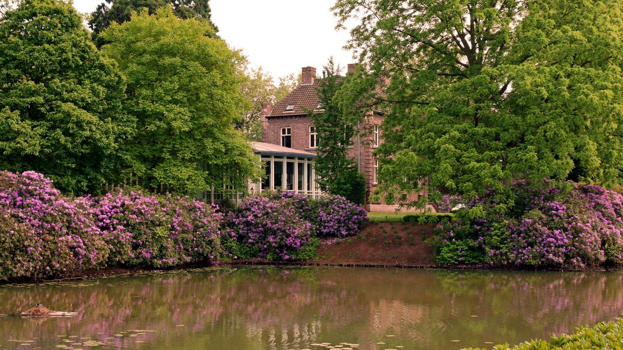 Wallpaper house, pond, park, yard, lilies, flowers