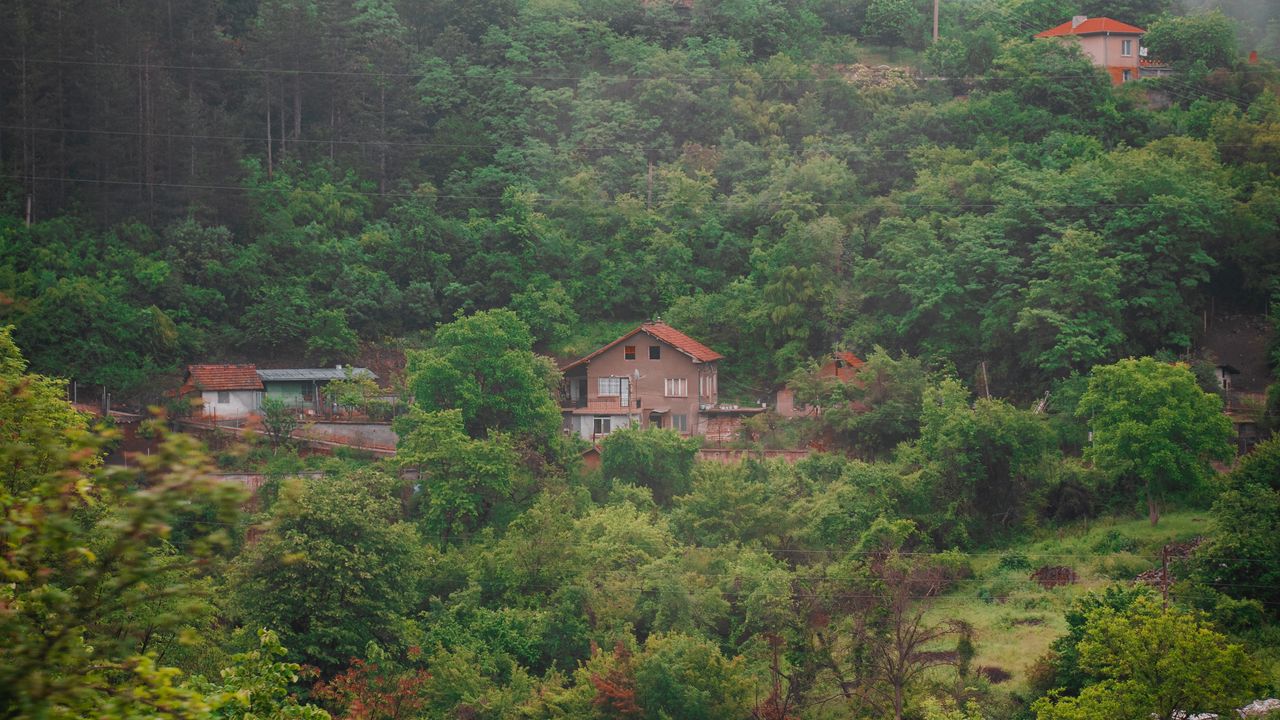 Wallpaper house, river, forest, fog
