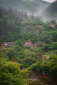 Preview wallpaper house, river, forest, fog