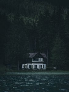 Preview wallpaper house, river, trees, forest, gloomy, solitude, silence