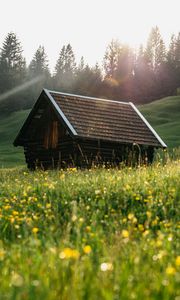 Preview wallpaper house, roof, meadow, grass, nature