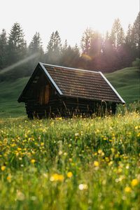 Preview wallpaper house, roof, meadow, grass, nature