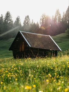 Preview wallpaper house, roof, meadow, grass, nature