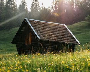 Preview wallpaper house, roof, meadow, grass, nature