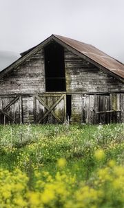 Preview wallpaper house, shed thrown, garden, cloudy