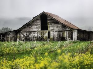 Preview wallpaper house, shed thrown, garden, cloudy