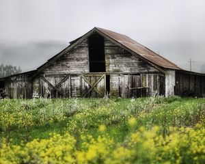 Preview wallpaper house, shed thrown, garden, cloudy