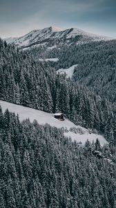 Preview wallpaper house, snow, hill, forest, winter, trees, sky