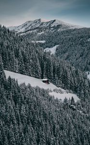 Preview wallpaper house, snow, hill, forest, winter, trees, sky