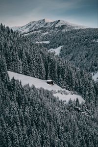 Preview wallpaper house, snow, hill, forest, winter, trees, sky