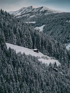 Preview wallpaper house, snow, hill, forest, winter, trees, sky