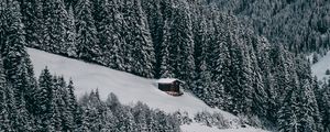 Preview wallpaper house, snow, hill, forest, winter, trees, sky