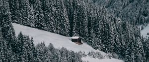 Preview wallpaper house, snow, hill, forest, winter, trees, sky