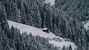 Preview wallpaper house, snow, hill, forest, winter, trees, sky