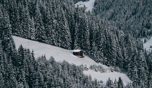 Preview wallpaper house, snow, hill, forest, winter, trees, sky