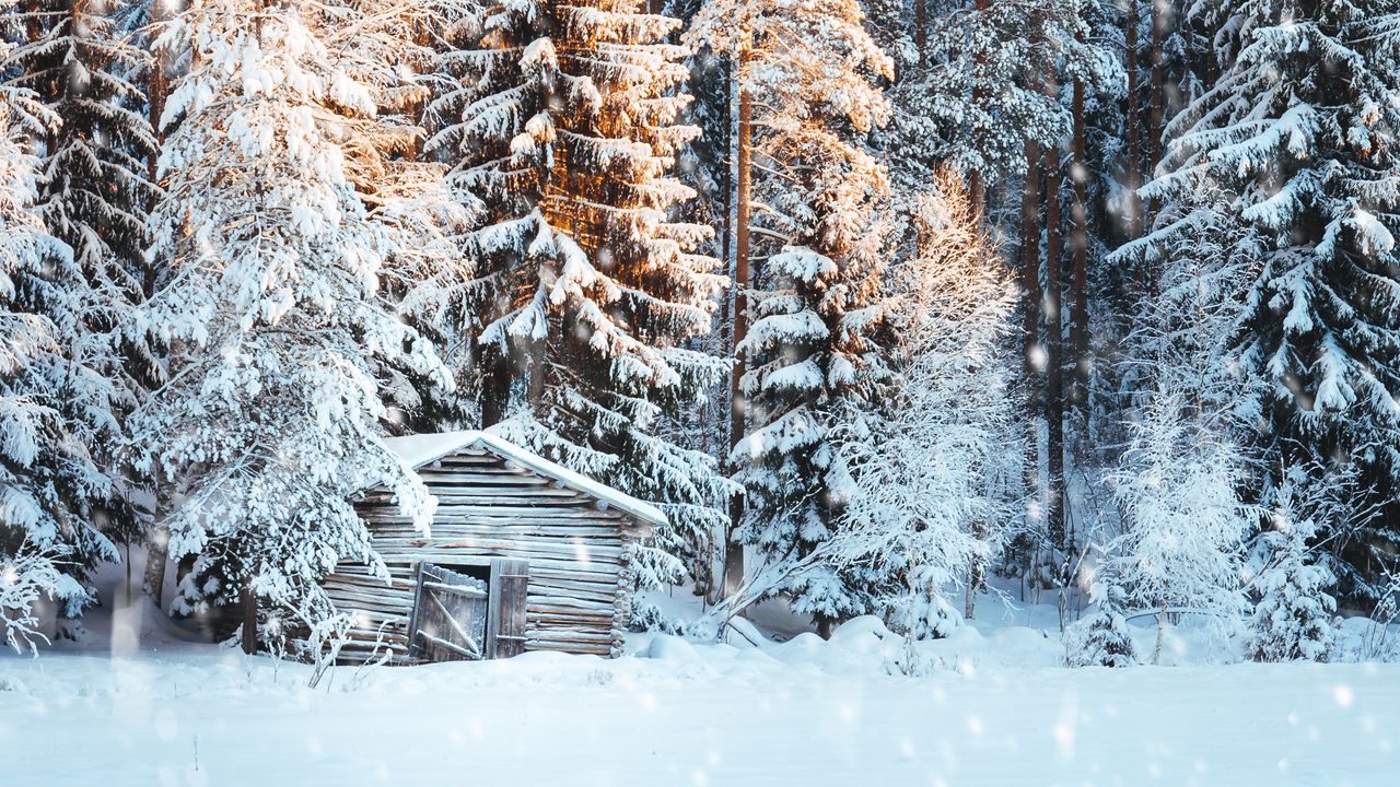 Wallpaper house, snow, trees, winter, snowfall, light