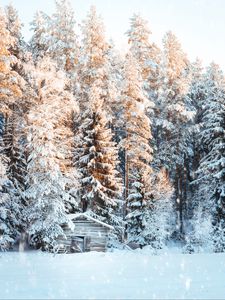 Preview wallpaper house, snow, trees, winter, snowfall, light
