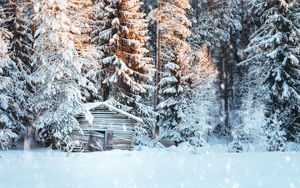 Preview wallpaper house, snow, trees, winter, snowfall, light