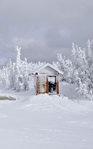 Preview wallpaper house, snow, trees, winter, landscape